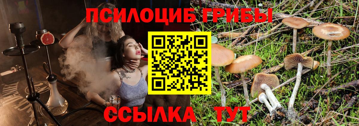 Великие Луки  Галлюциногенные грибы Psilocybe  Вход с VPN 
