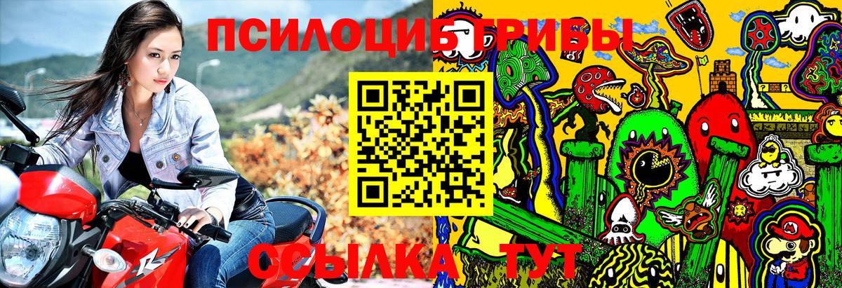 Галлюциногенные грибы мицелий Великие Луки